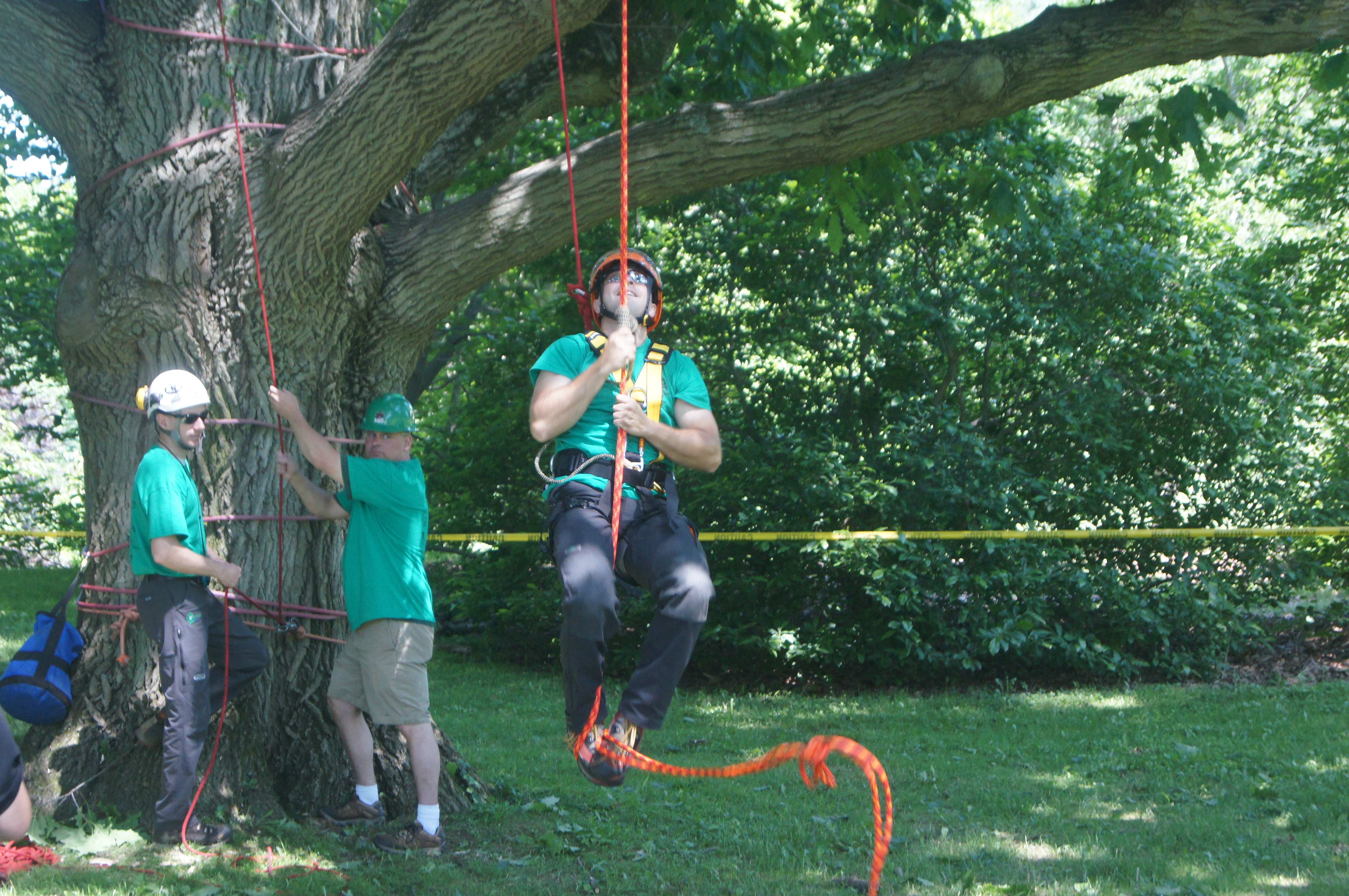 2014 New York State Tree Climbing Championship