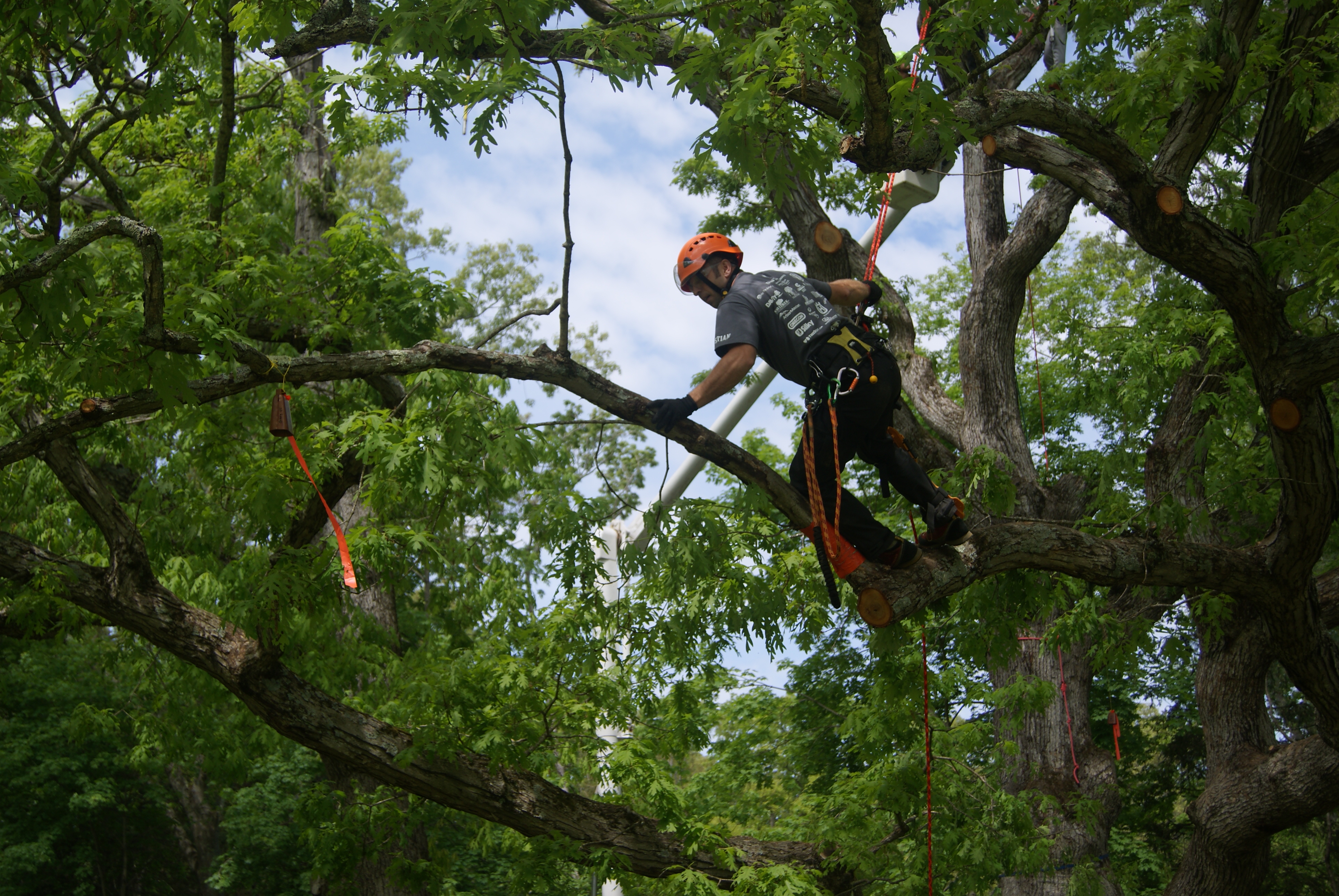 Free Estimates