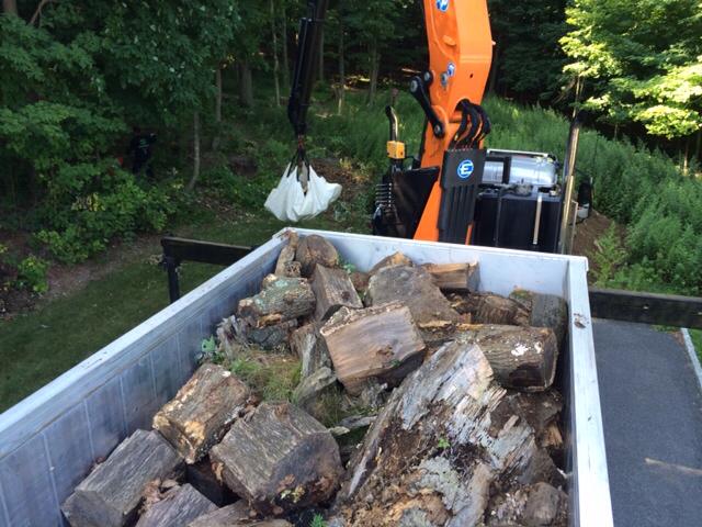 Tree Stump Removal