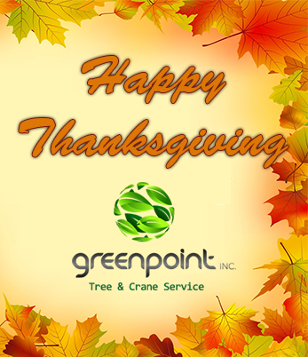 Happy Thanksgiving from Greenpoint