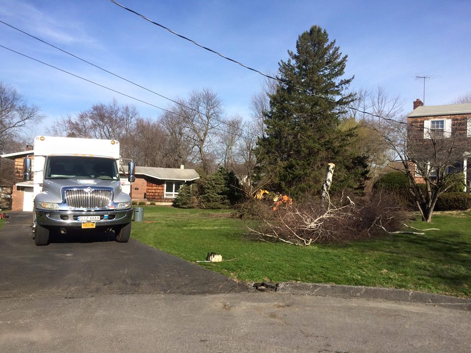 Valhalla NY Tree Removal