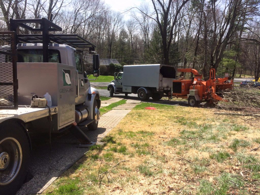 CT Emergency Tree Service