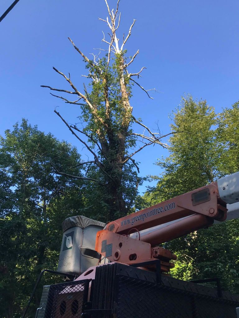 Another Happy Customer