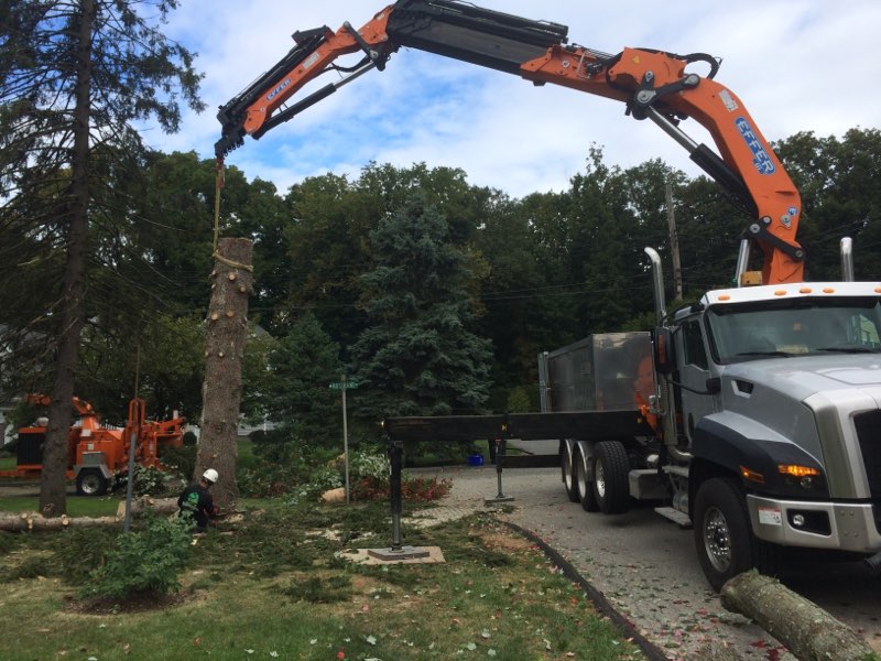 Professional Crane Service