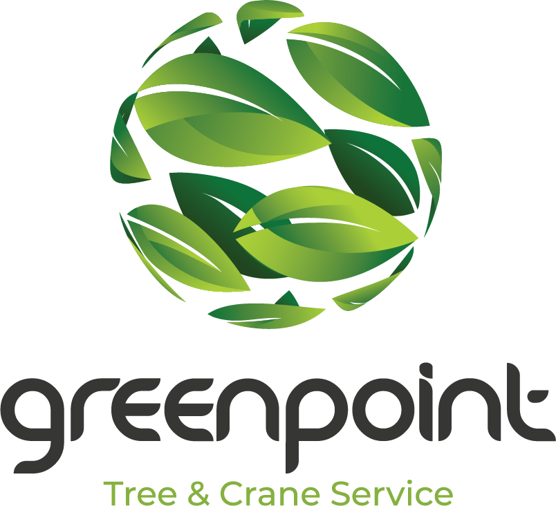 Greenpoint Tree Service